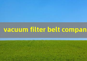 vacuum filter belt companies